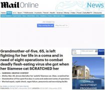  英国65岁奶奶自家撸猫换来8次手术