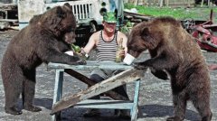 动物园棕熊竟学会向游客挥手致意