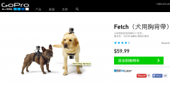 GoPro Fetch：汪星人专属相机 让你看到狗狗眼中的
